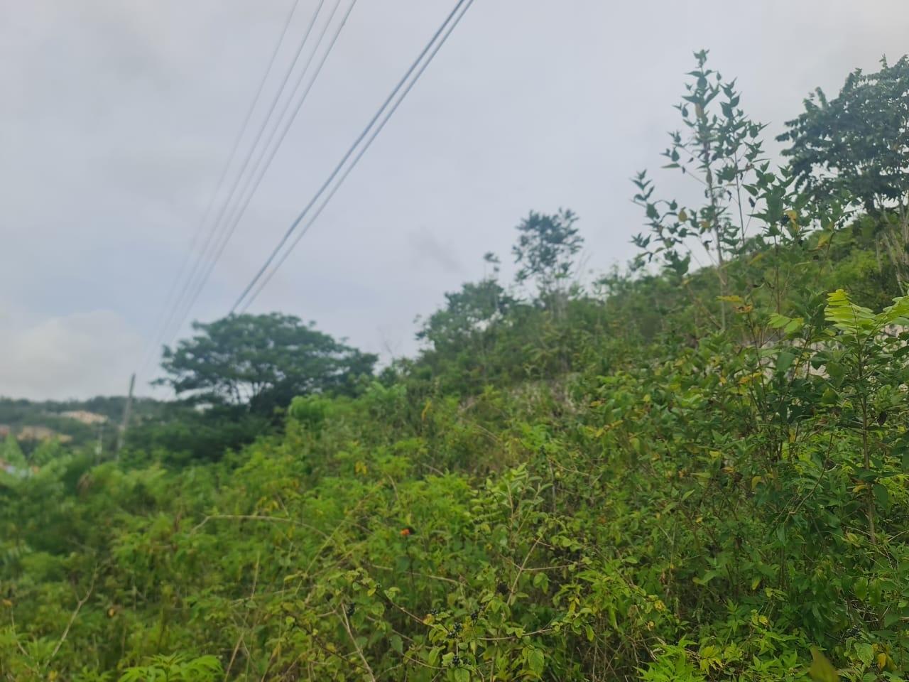 Fourth image of 46 Radstock Road in Mandeville, Manchester, Jamaica - property is For Sale