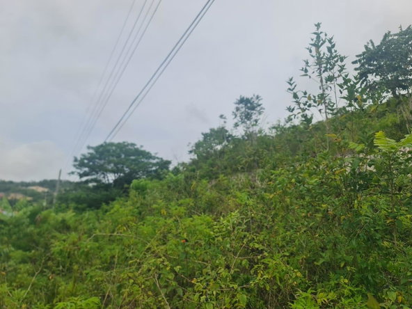 Fourth image of 46 Radstock Road in Mandeville, Manchester, Jamaica - property is For Sale
