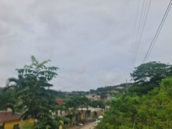 Sixth image of 46 Radstock Road in Mandeville, Manchester, Jamaica - property is For Sale