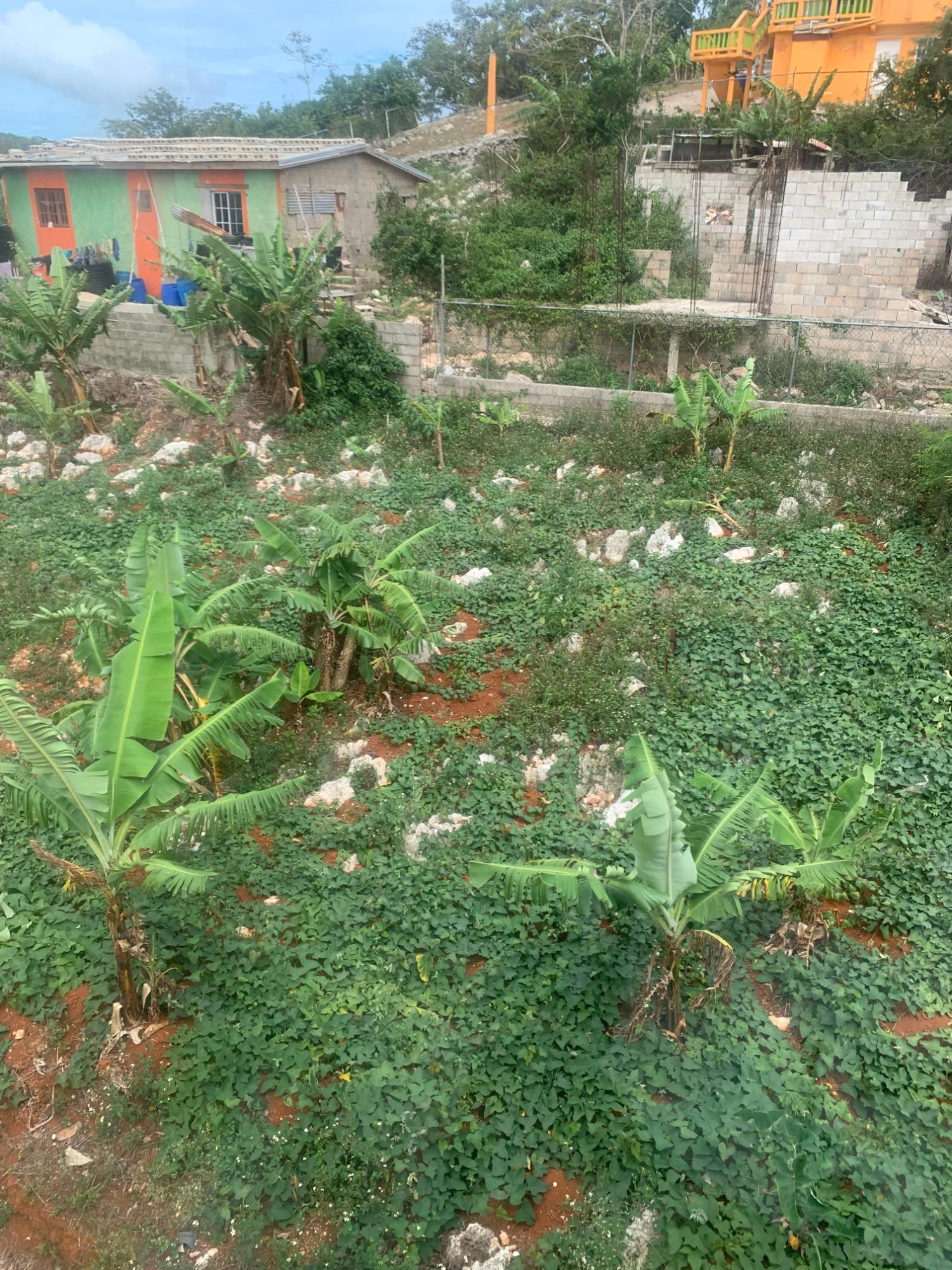 Eleventh image of 4 Mount Prospect in MOUNT PROSPECT, Manchester, Jamaica - property is For Sale