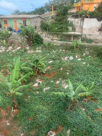 Eleventh image of 4 Mount Prospect in MOUNT PROSPECT, Manchester, Jamaica - property is For Sale