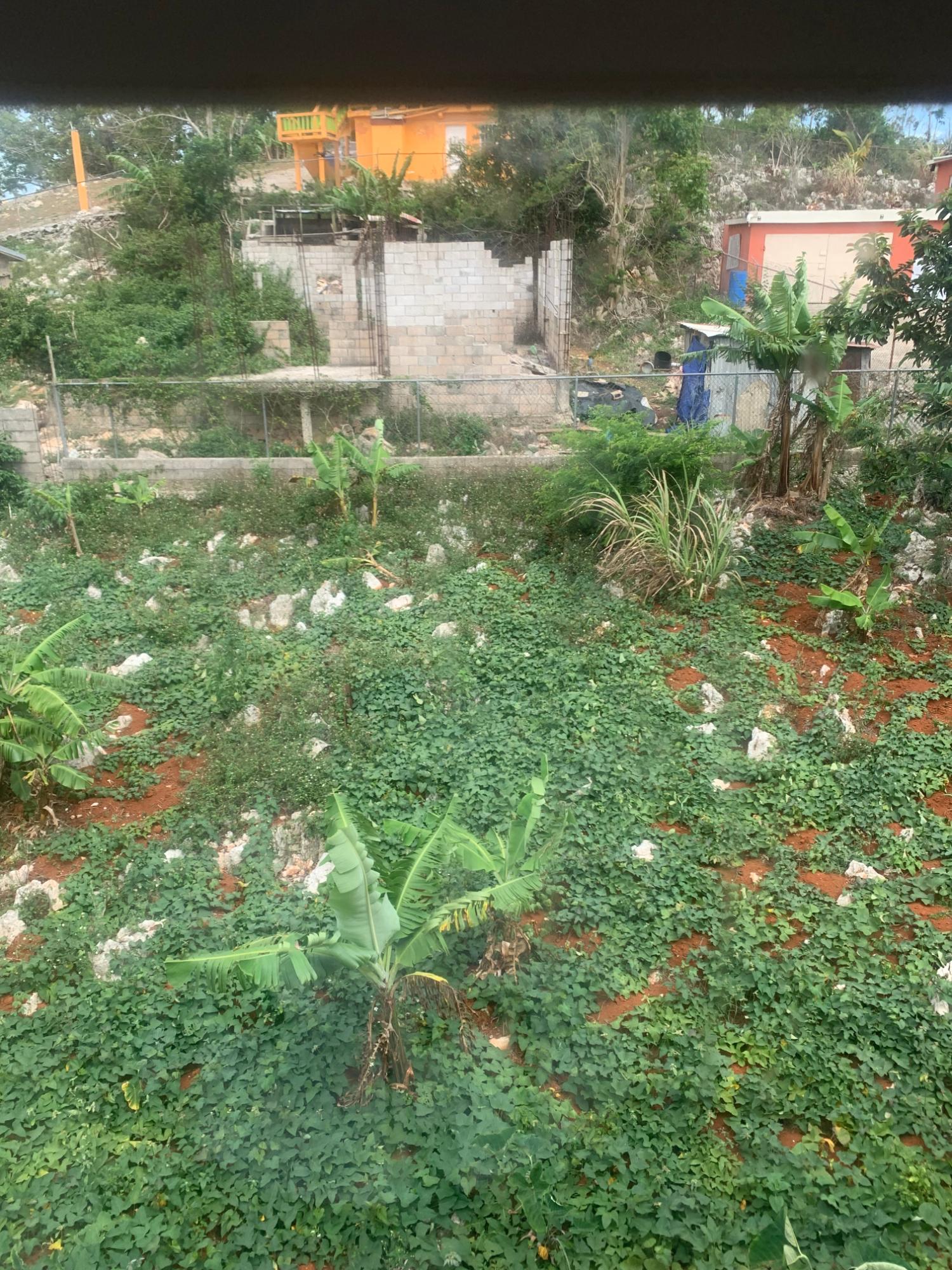 Ninth image of 4 Mount Prospect in MOUNT PROSPECT, Manchester, Jamaica - property is For Sale