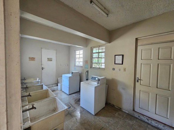 Sixth image of 113-21 Lady Musgrave rd in Kingston 5, St. Andrew, Jamaica - property is For Rent