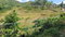 First image of 2 Main St. Claremont, St. a in Claremont, St. Ann, Jamaica - property is For Sale