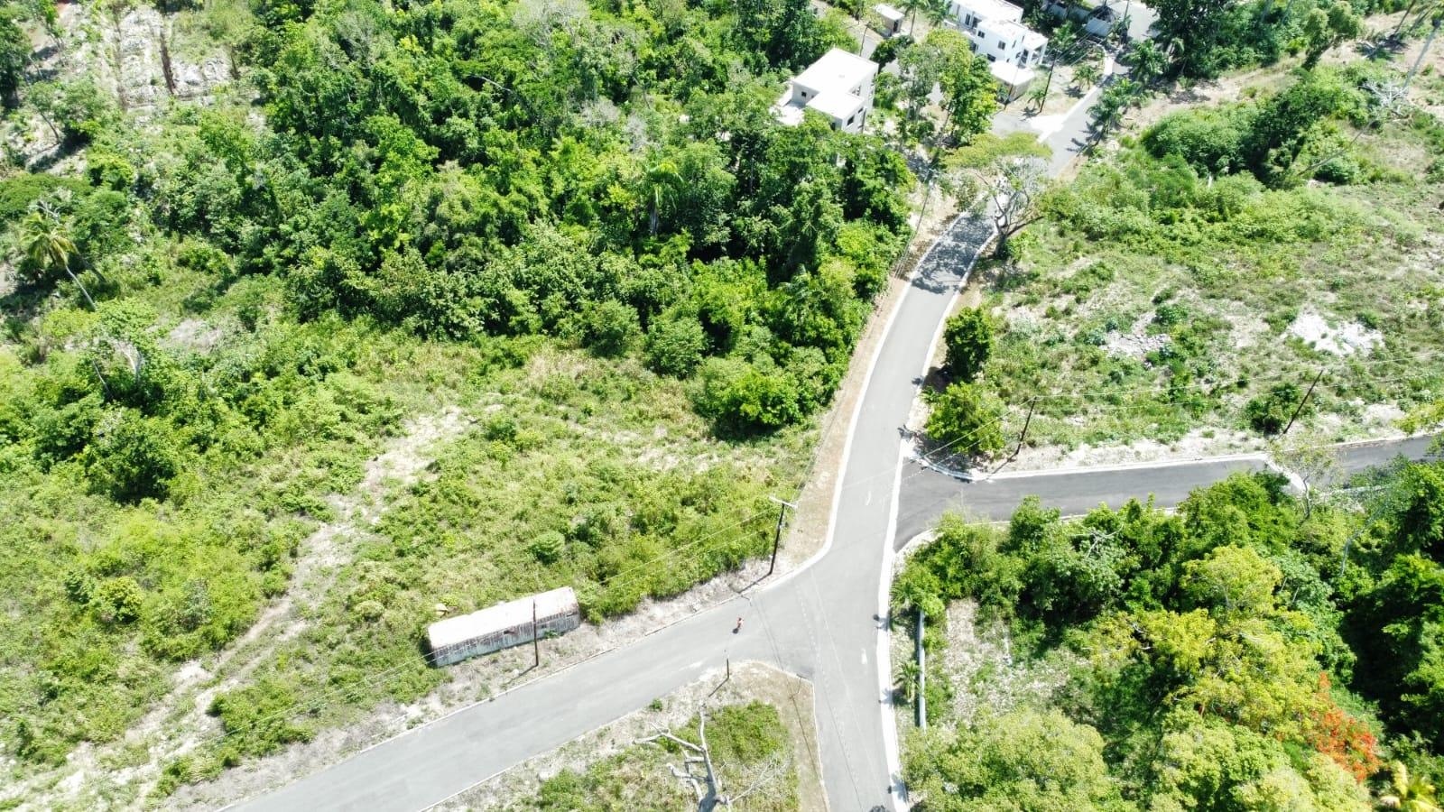 Third image of Lot #14- Roystonea in Tower Isle, St. Mary, Jamaica - property is For Sale