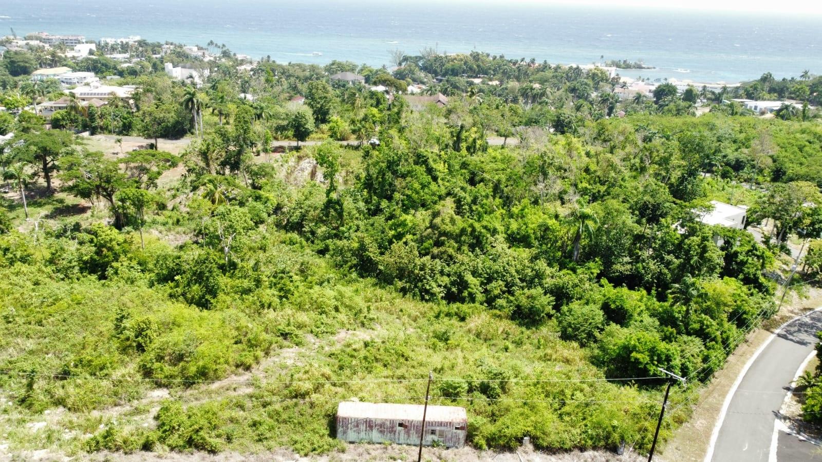 Sixth image of Lot #14- Roystonea in Tower Isle, St. Mary, Jamaica - property is For Sale