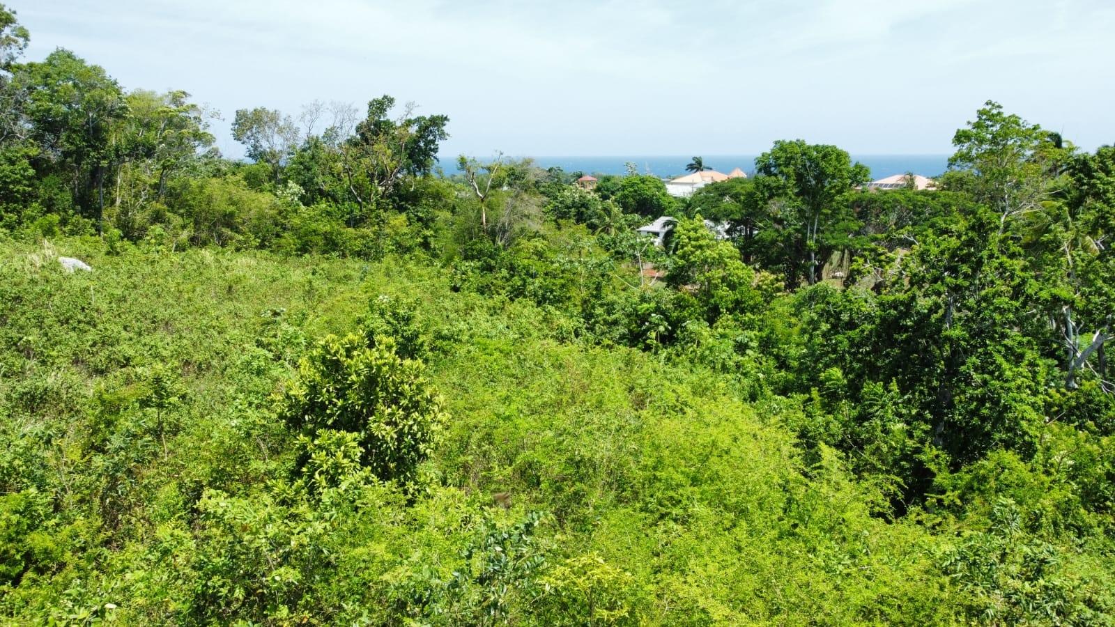 Seventh image of Lot #14- Roystonea in Tower Isle, St. Mary, Jamaica - property is For Sale