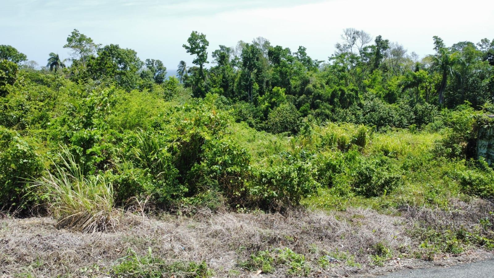 Eighth image of Lot #14- Roystonea in Tower Isle, St. Mary, Jamaica - property is For Sale