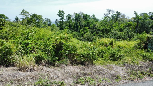 Eighth image of Lot #14- Roystonea in Tower Isle, St. Mary, Jamaica - property is For Sale