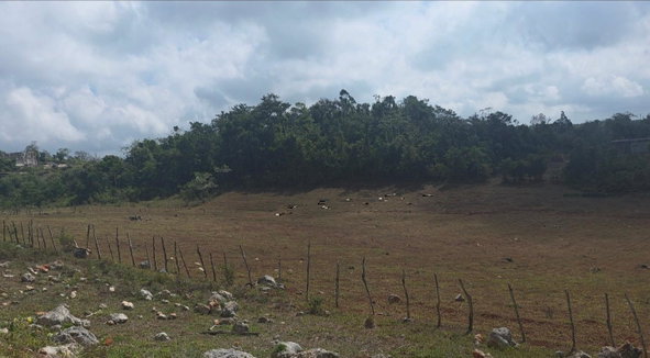 Third image of 213 Newark Grove in Spur Tree, Manchester, Jamaica - property is For Sale