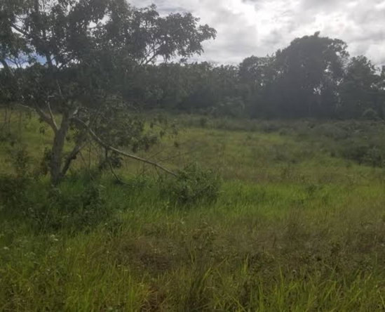 Fourth image of 213 Newark Grove in Spur Tree, Manchester, Jamaica - property is For Sale