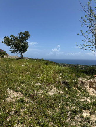 First image of Lot 414- Stone Avenue , Spring Val in Spring Valley, St. Mary, Jamaica - property is For Sale