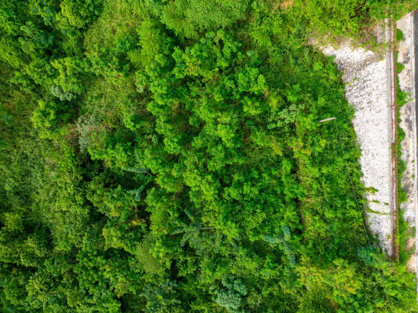 Fifth image of 2 Ridgeway Terrace in Kingston 6, St. Andrew, Jamaica - property is For Sale