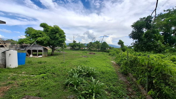 Thirteenth image of Land Part of Smithfield in Savanna-La-Mar, Westmoreland, Jamaica - property is For Sale