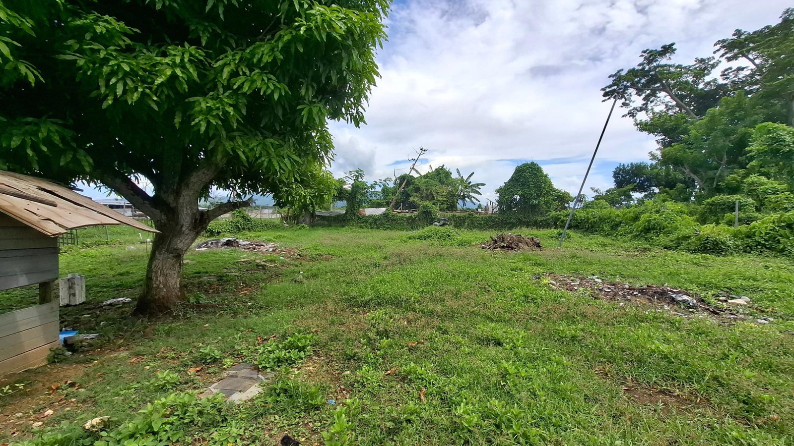 Fourteenth image of Land Part of Smithfield in Savanna-La-Mar, Westmoreland, Jamaica - property is For Sale