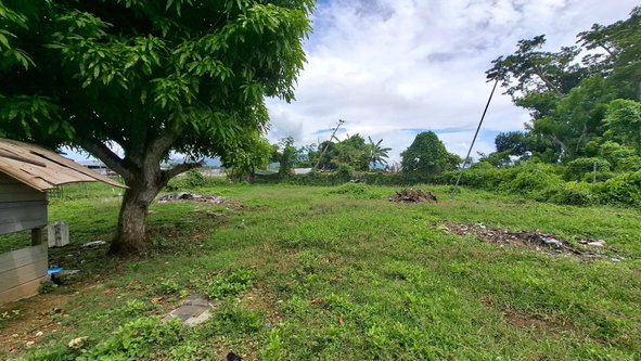 Fourteenth image of Land Part of Smithfield in Savanna-La-Mar, Westmoreland, Jamaica - property is For Sale