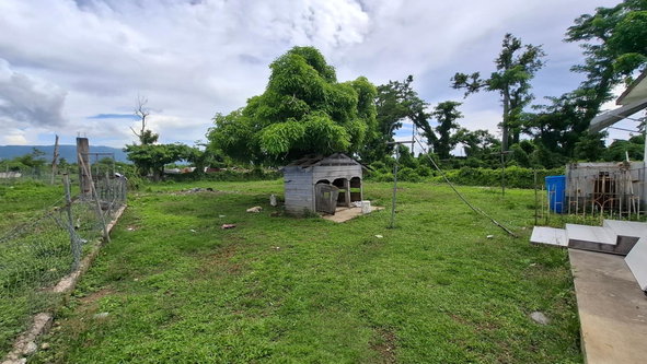Fifteenth image of Land Part of Smithfield in Savanna-La-Mar, Westmoreland, Jamaica - property is For Sale