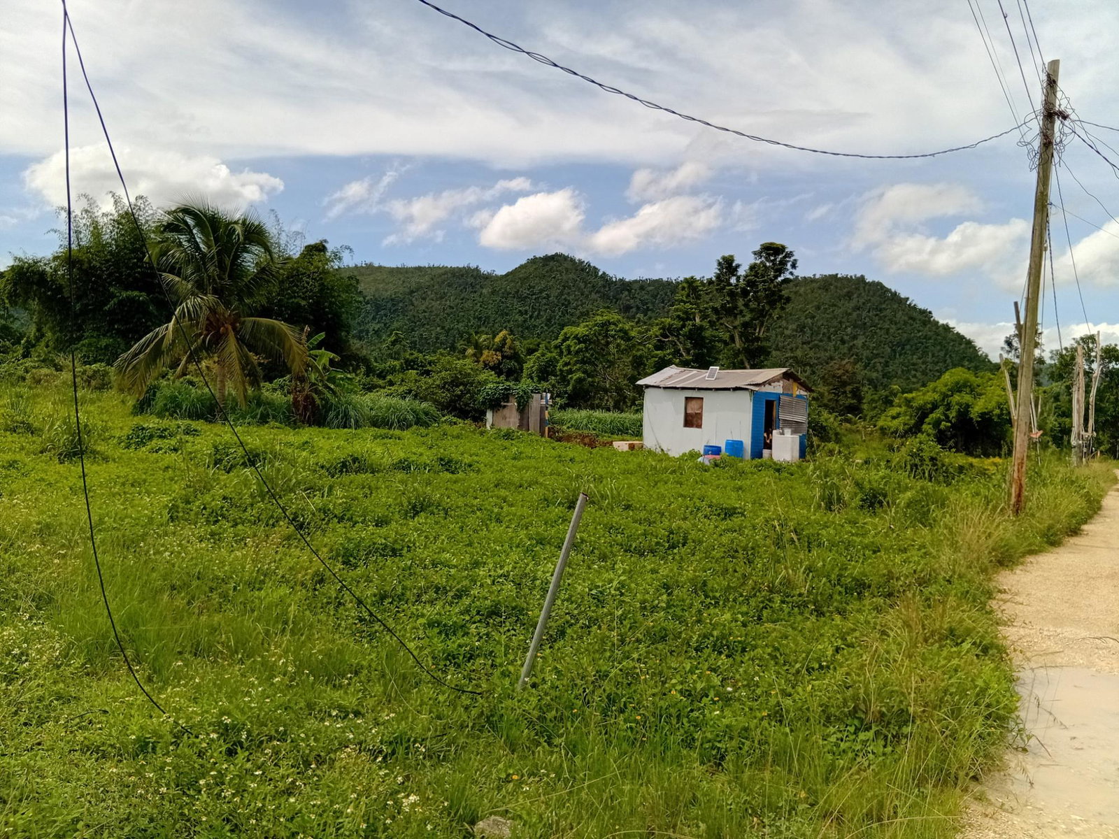 Seventh image of Doman Pasture in Deeside, Trelawny, Jamaica - property is For Sale
