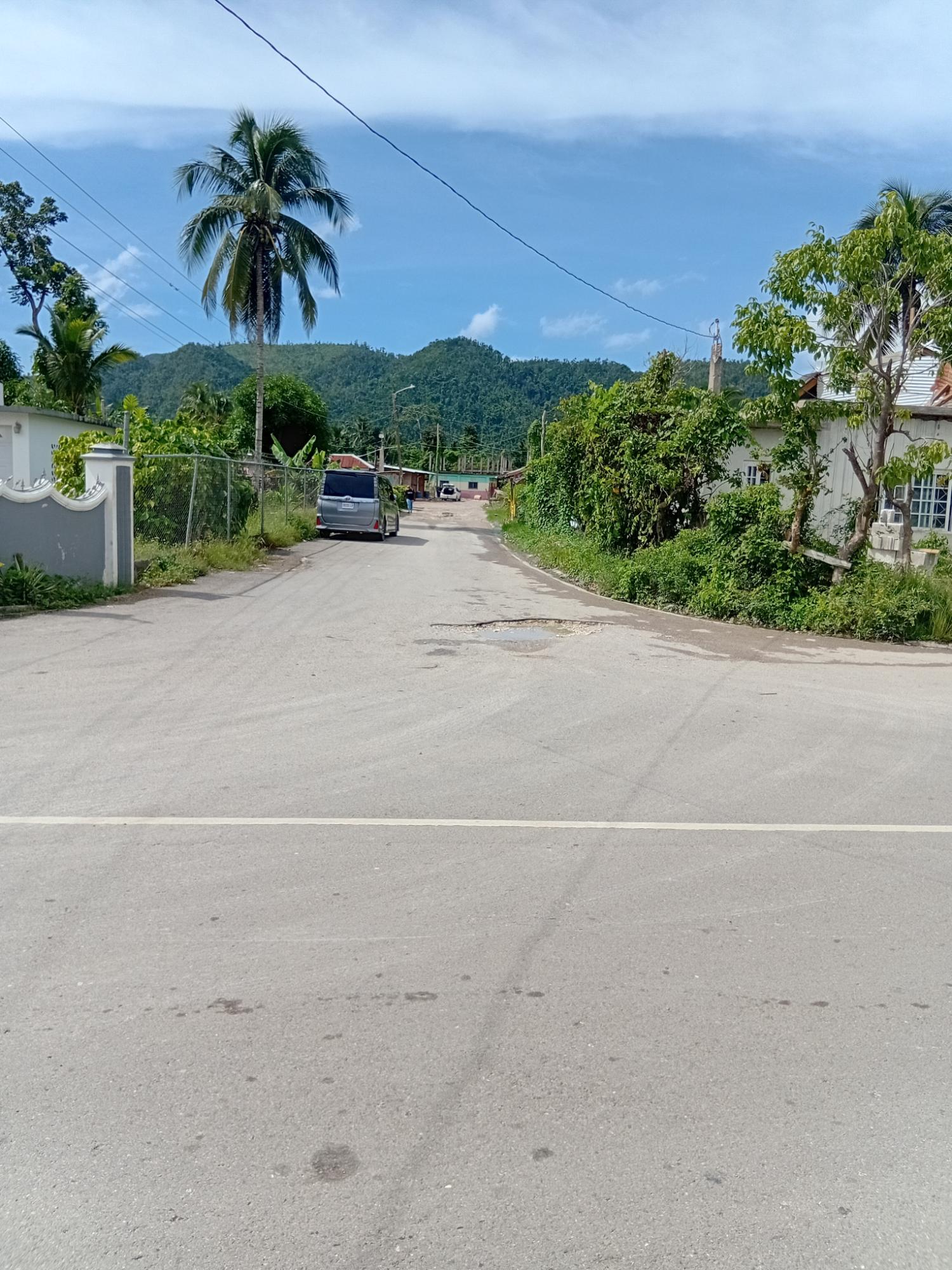 Second image of Doman Pasture in Deeside, Trelawny, Jamaica - property is For Sale