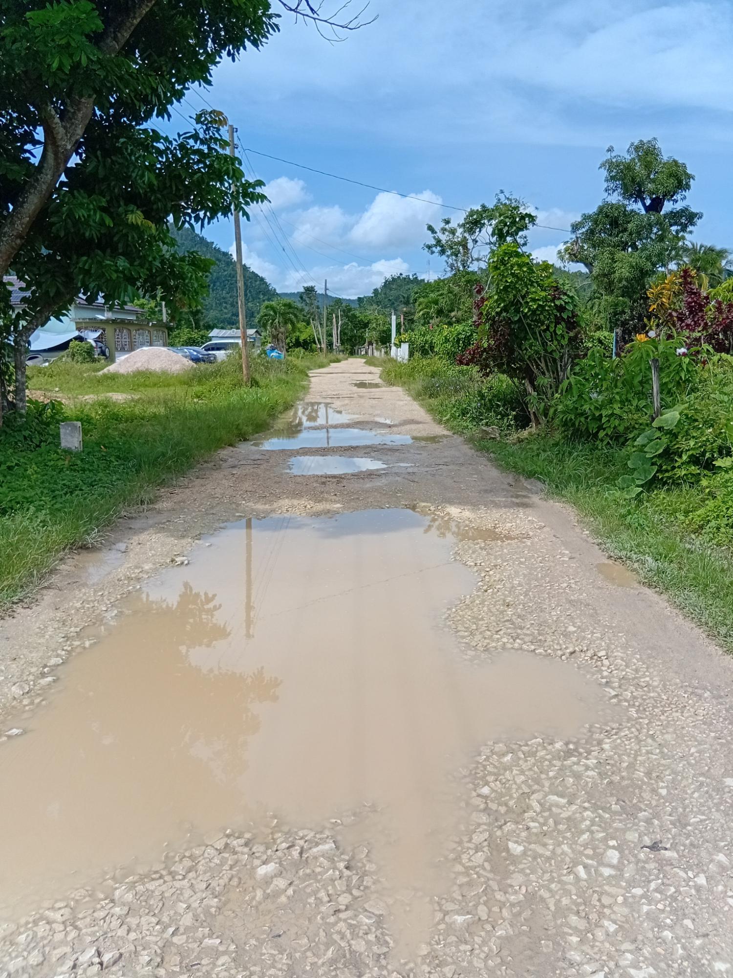 Third image of Doman Pasture in Deeside, Trelawny, Jamaica - property is For Sale