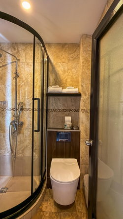 Thirteenth image of Ocho Rios in Ocho Rios, St. Ann, Jamaica - property is For Sale