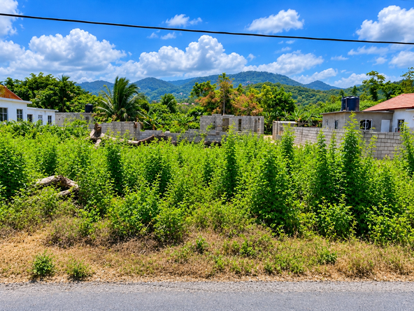 Fourth image of 50-lot Fort Stewart Estate, Anno in Annotto Bay, St. Mary, Jamaica - property is For Sale