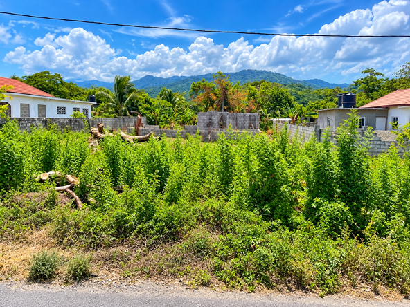 Fifth image of 50-lot Fort Stewart Estate, Anno in Annotto Bay, St. Mary, Jamaica - property is For Sale