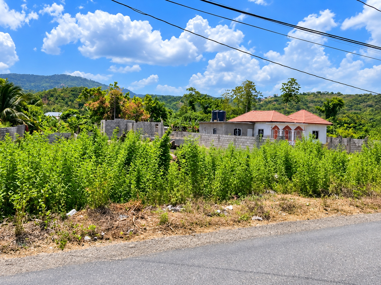 Seventh image of 50-lot Fort Stewart Estate, Anno in Annotto Bay, St. Mary, Jamaica - property is For Sale