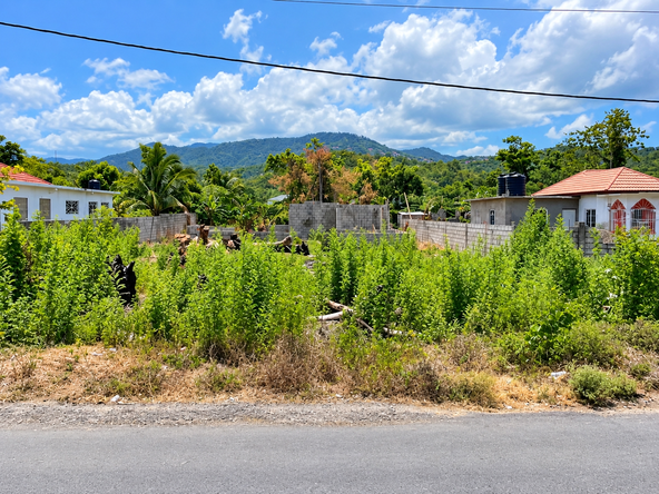 Eighth image of 50-lot Fort Stewart Estate, Anno in Annotto Bay, St. Mary, Jamaica - property is For Sale