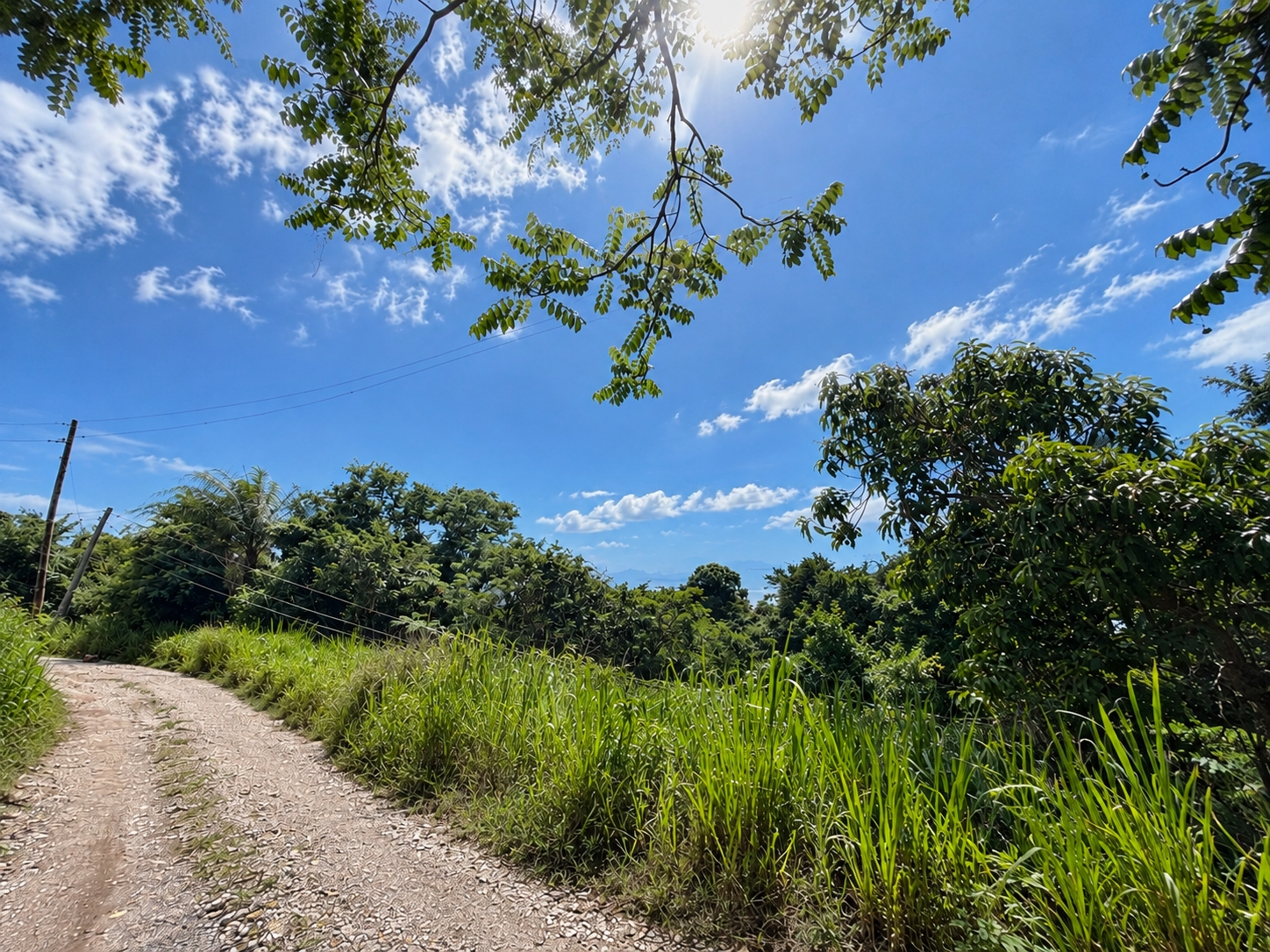 First image of Lot 2 Cherry Gardens in Kingston 8, St. Andrew, Jamaica - property is For Sale