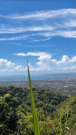 Twelfth image of Lot 2 Cherry Gardens in Kingston 8, St. Andrew, Jamaica - property is For Sale