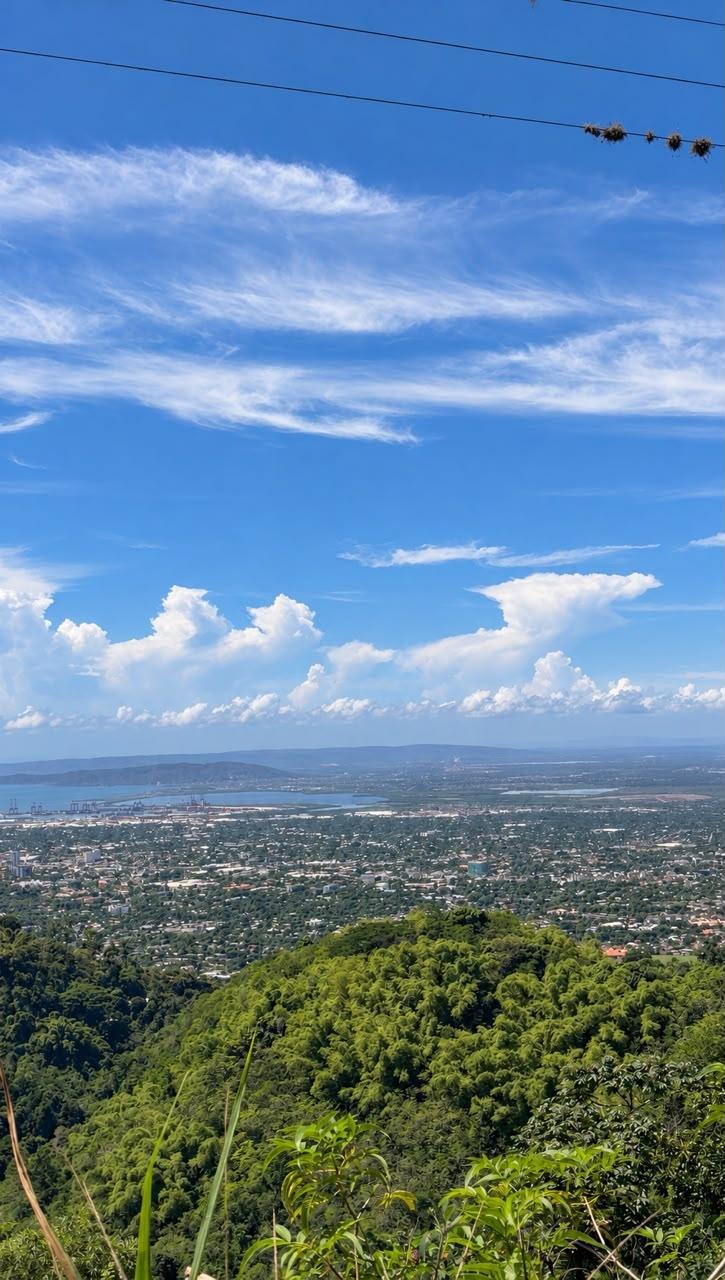 Fourteenth image of Lot 2 Cherry Gardens in Kingston 8, St. Andrew, Jamaica - property is For Sale