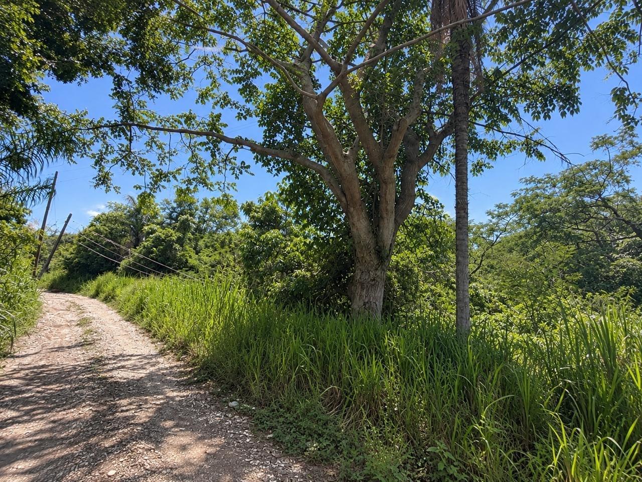 Third image of Lot 2 Cherry Gardens in Kingston 8, St. Andrew, Jamaica - property is For Sale
