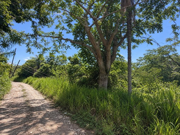Third image of Lot 2 Cherry Gardens in Kingston 8, St. Andrew, Jamaica - property is For Sale