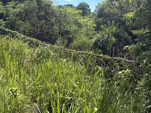 Fifth image of Lot 2 Cherry Gardens in Kingston 8, St. Andrew, Jamaica - property is For Sale