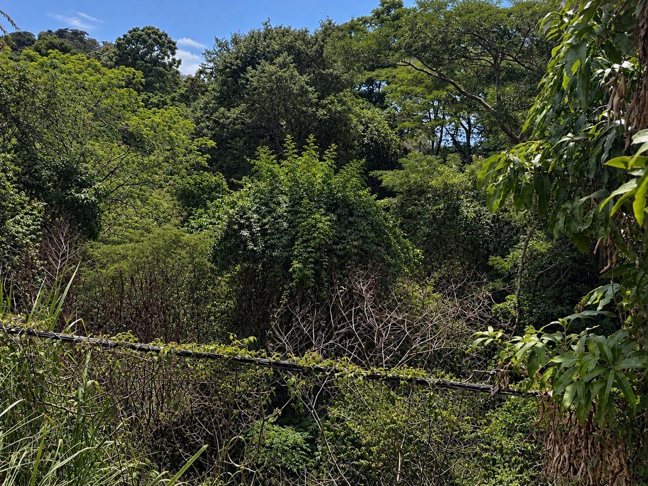 Sixth image of Lot 2 Cherry Gardens in Kingston 8, St. Andrew, Jamaica - property is For Sale