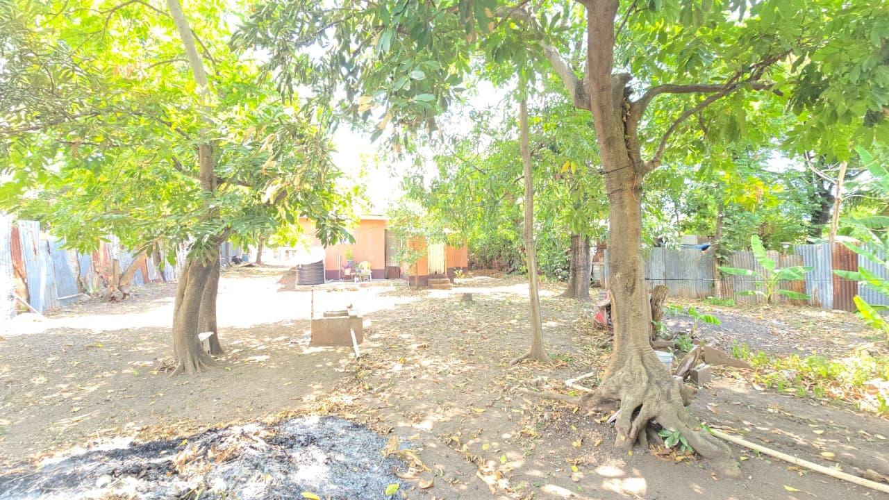 Sixth image of 17 First Avenue in Kingston 3, St. Andrew, Jamaica - property is For Sale