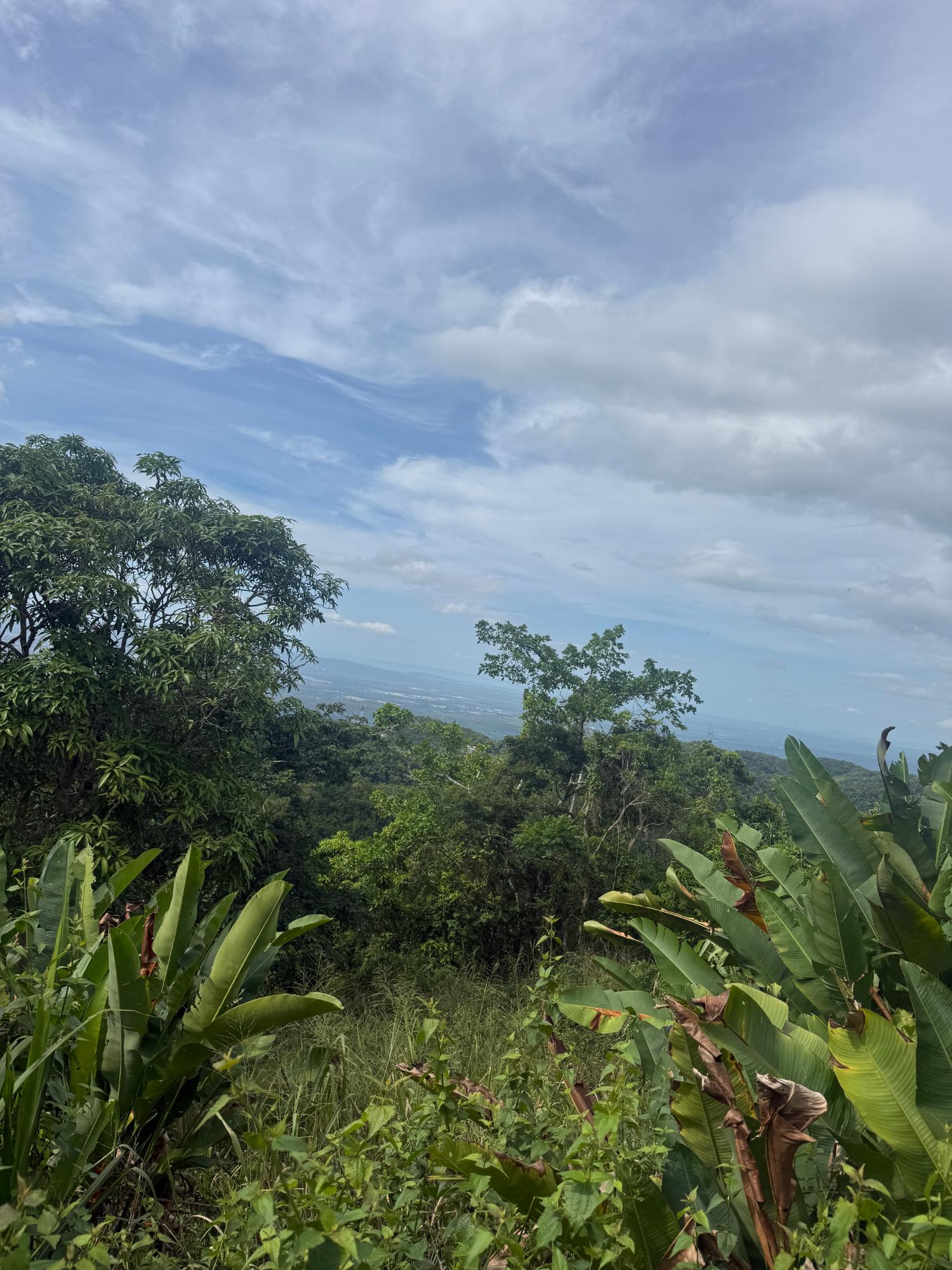 Third image of 98 Coopers Hill in Red Hills, St. Andrew, Jamaica - property is For Sale