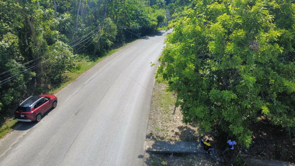 Fourth image of Albany, st Mary in Albany, St. Mary, Jamaica - property is For Sale