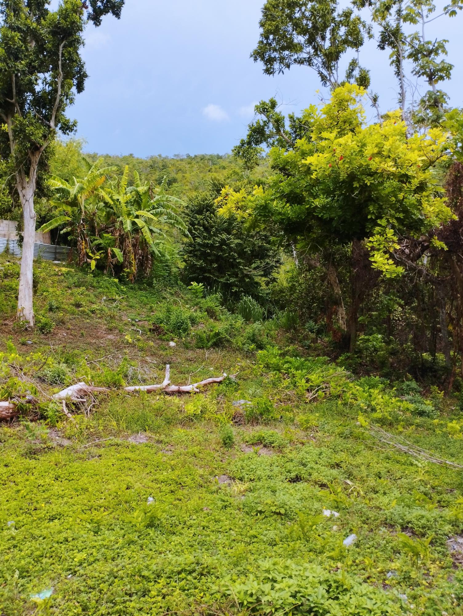 First image of Lot 50 Deveronside, Chester Dis in Chester, St. Ann, Jamaica - property is For Sale