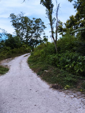 Fifth image of Lot 50 Deveronside, Chester Dis in Chester, St. Ann, Jamaica - property is For Sale
