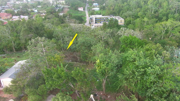 Sixth image of Wesley Road Mandeville in Mandeville, Manchester, Jamaica - property is For Sale