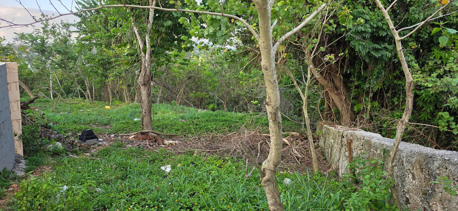 Eighth image of Wesley Road Mandeville in Mandeville, Manchester, Jamaica - property is For Sale
