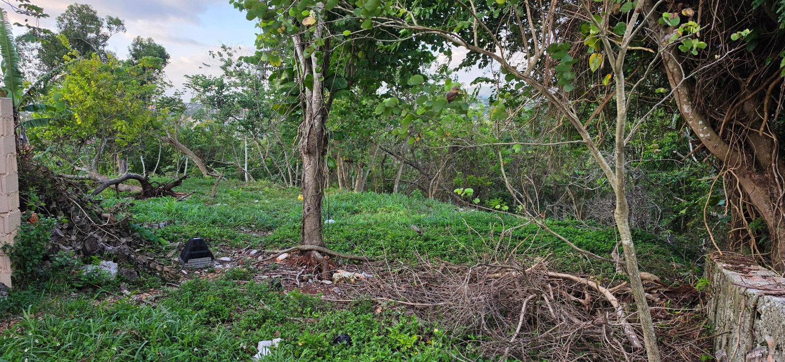 Ninth image of Wesley Road Mandeville in Mandeville, Manchester, Jamaica - property is For Sale