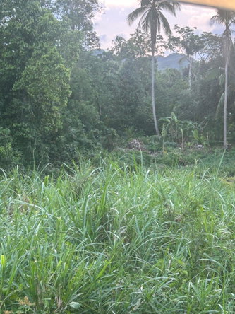 Second image of Banbury District in Banbury, St. Catherine, Jamaica - property is For Sale
