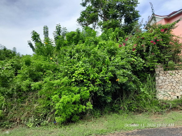 First image of 242 Orchard Gardens in Hopewell, Hanover, Jamaica - property is For Sale