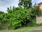 First image of 242 Orchard Gardens in Hopewell, Hanover, Jamaica - property is For Sale