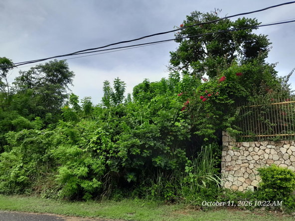 Fourth image of 242 Orchard Gardens in Hopewell, Hanover, Jamaica - property is For Sale