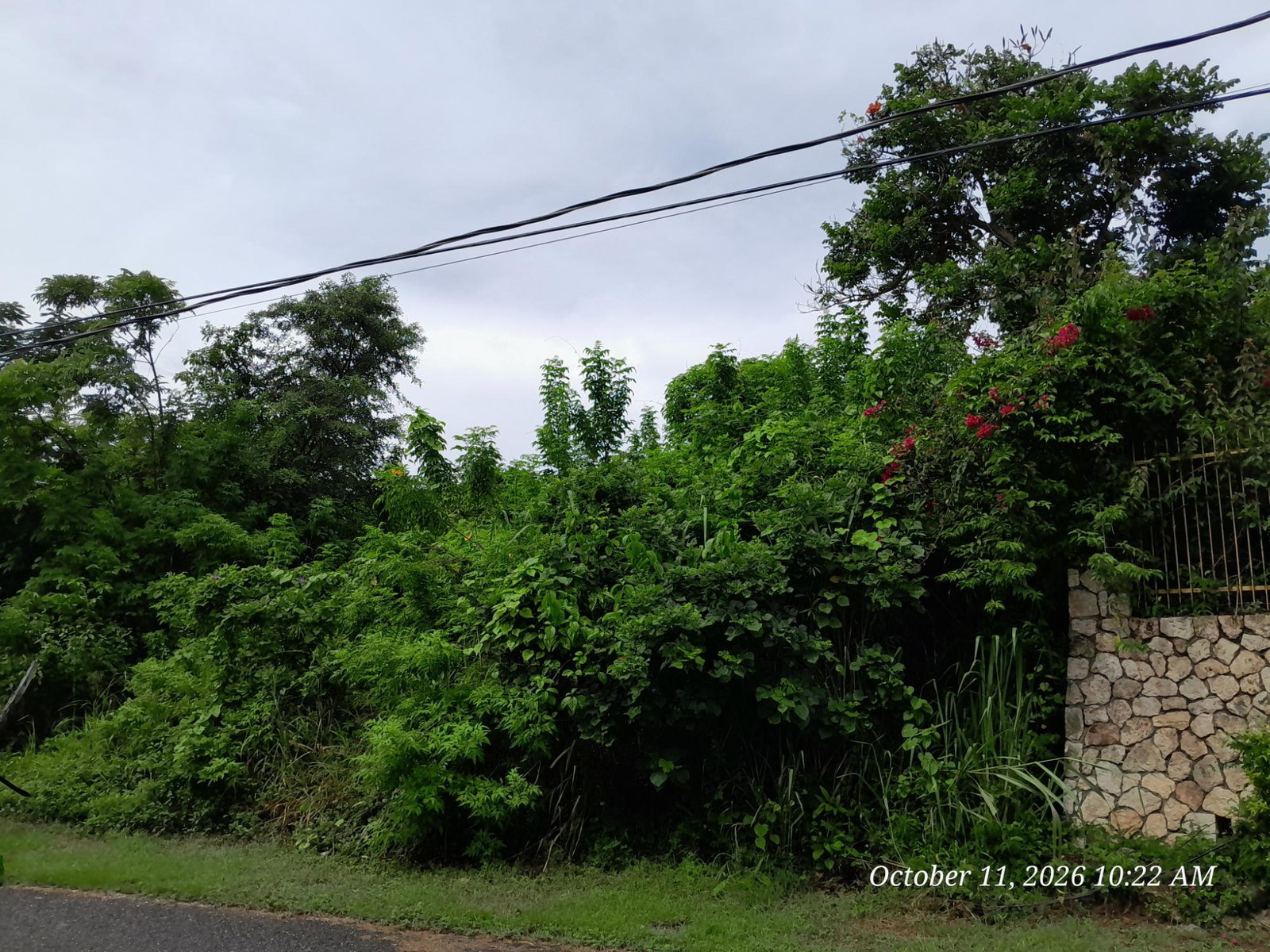 Fifth image of 242 Orchard Gardens in Hopewell, Hanover, Jamaica - property is For Sale