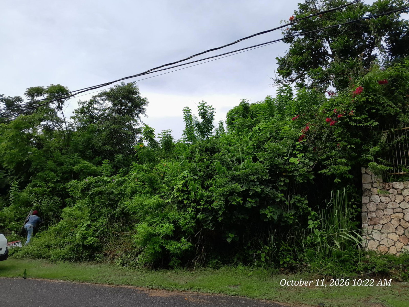 Sixth image of 242 Orchard Gardens in Hopewell, Hanover, Jamaica - property is For Sale